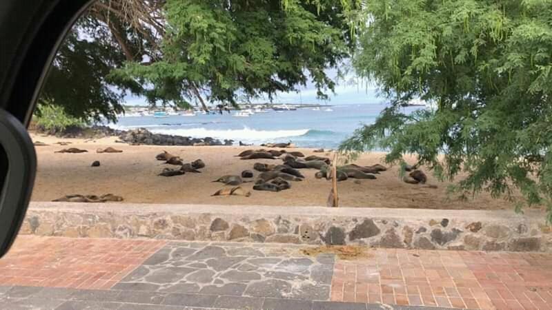 Hostal Albatros San Cristóbal Buitenkant foto